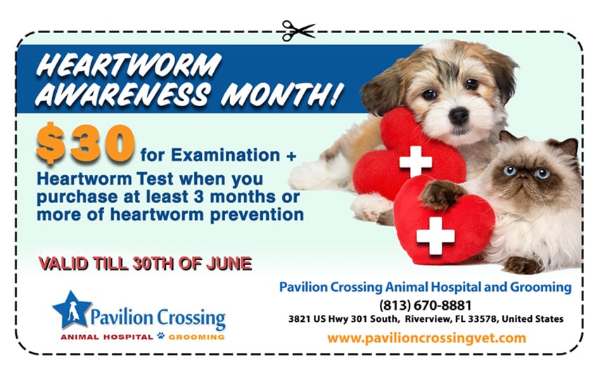 Free Exam for Service Dogs