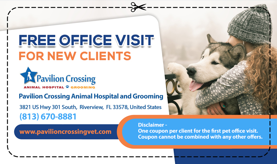 Discounts and Coupons | Pavilion Crossing Animal Hospital